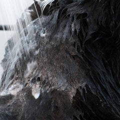 Pet Shampoo - Anti-itching & Deodorizing Lavender-16 FL. OZ.