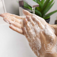 Foaming Hand Soap Coconut & Wild Berries-Eco-Refill 30 FL. OZ.